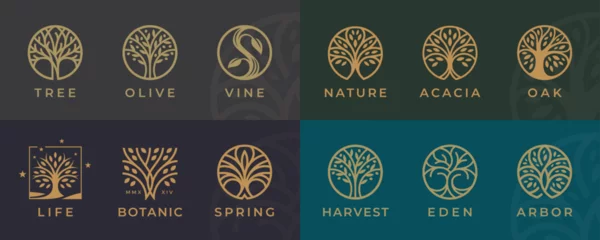 Abstrakte Baum des Lebens-Logo-Icons gesetzt. Botanische Pflanzennatursymbole. Baumzweig mit Blattzeichen. Natürliche Designelemente-Emblem-Sammlung. Vektor-Illustration. © JoelMasson