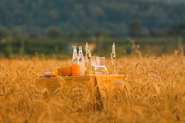 Picnic in a field of wheat in summer