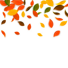 Falling autumn leaves. Red, yellow, green, brown c