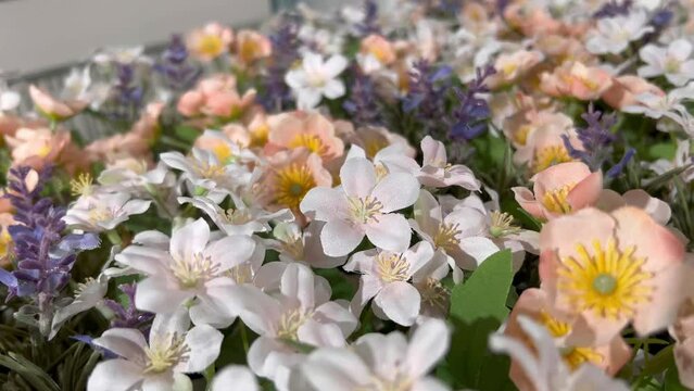 A close up shot of beautiful white and yellow flowers which can be use for Mothers day, Valentines day, birthday party or other holidays