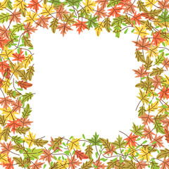 Square border of autumn leaves. Vector isolated colorful illustration in flat style.