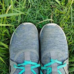 shoes on the grass