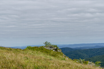 Bieszczady połonina Wetlińska 