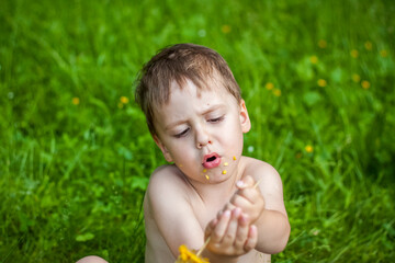 A cute blond boy appetizingly eats corn in the summer, sitting on the bank of the river on the juicy grass. Funny facial expression.