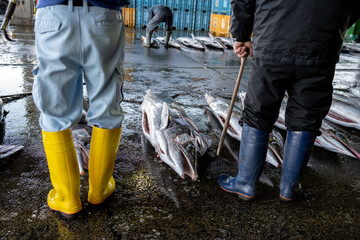 Swordfish blue marlin & workers at market in Japan