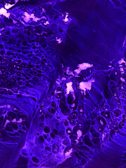 Neon abstract art painting in blue and purple colors, creative hand painted background, acrylic, brush texture, dark artwork.