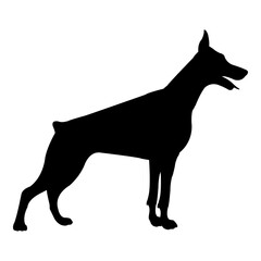 Silueta de perro doberman de pie aislado