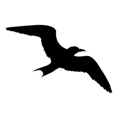 Silueta de gaviota volando aislada en color negro