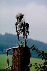 halloween skelett   einladungskarte