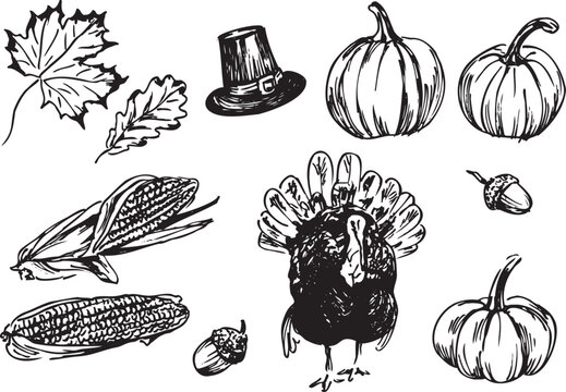Set of hand drawn thanksgiving day sketches. Vector illustration.
