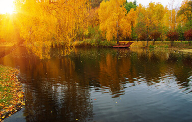 Autumn landscape with lake, green grass and colourful trees