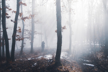 Mist in the woods at winter