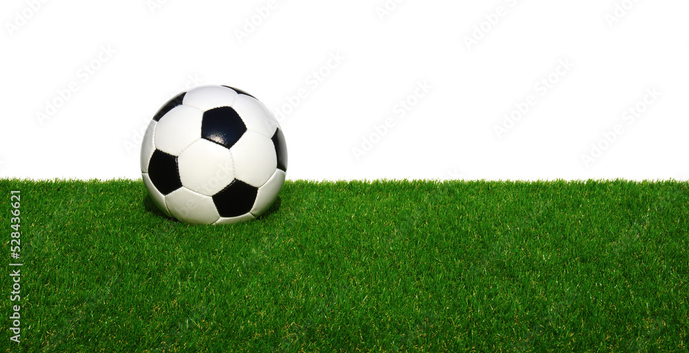 Wall mural Soccer ball on grass isolated on white