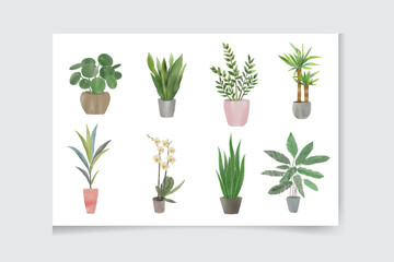 Fototapeta na wymiar Set of watercolor houseplants: monstera, sansevieria, cactus, ficus. Botanical home garden. Natural collection of plants. Hand painted urban jungle. Trendy home decor with plants 