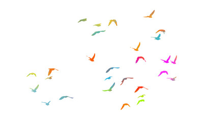 Abstract multicolored flying birds. Mixed media. Vector illustration