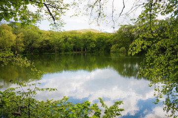 Fototapeta na wymiar Quiet lake in the spring forest