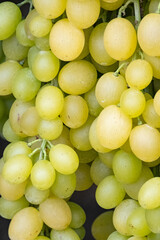 Grapes