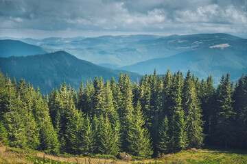 Panoramic view of beautiful green forest mountain landscape. Traveling in the Carpathian mountains, freedom and active lifestyle concept. Amazing natural background. Beautiful wild nature landscape.