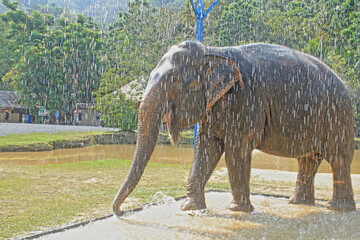 Phuket, Thailand