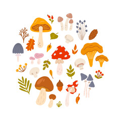 Set of different mushrooms with berries and leaves of trees in circle. Vector flat illustration in hand drawn style on white background