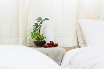 グリーンのあるインテリア