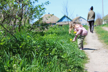 Spring landscape in the village.