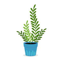 House plants in pot. Trendy plants in flat style.