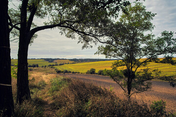 Fototapeta na wymiar View from Mount Totoha to the fields. Ukraine.