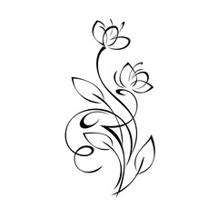 ornament 2442. decorative element with stylized flowers on stems with leaves and curls. graphic decor