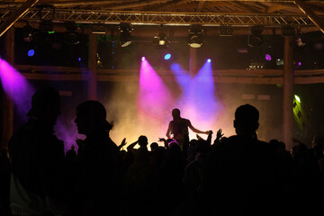 people at concert