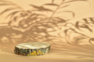Wooden stage with shadows for presentation on beige background. A natural catwalk for cosmetics