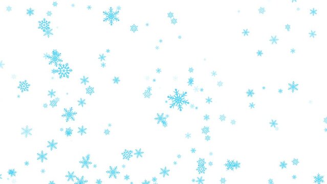 graphical turquoise snowflakes falling slowly from the sky. transparent white background, overlay. snowfall in winter. 23,98 fps 