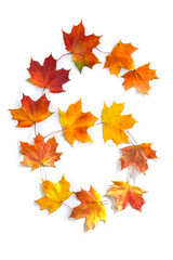 Number 6 from of colorful autumnal maple leaves on white background. Top view, flat lay