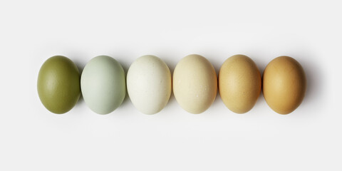 Close-up view of raw chicken eggs in row. Creative idea minimal photo made of eggs on white background. Color gradient olive and brown colored, neutral color tones. Health Food trend concept. Top view - obrazy, fototapety, plakaty
