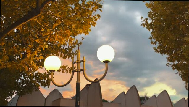 2 Street lamp on the park at sunset