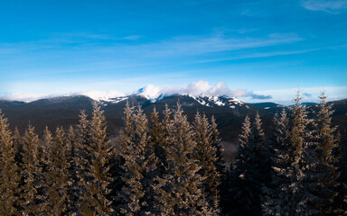 landscape view of winter carpathian mountains