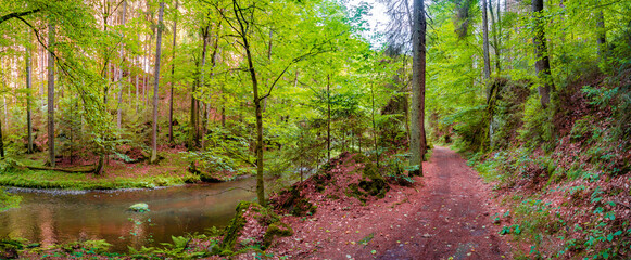 Panoramic view over magical enchanted fairytale forest with moss, lichen, fern and river at the hiking trail Malerweg, Polenztal part in the national park Saxon Switzerland, Saxony, Germany - obrazy, fototapety, plakaty