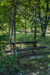 Old wooden bench in a rural orchard, natural countryside park in the light of the rising sun, Podkarpackie County, Poland