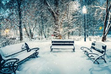 beautiful magic night snowfall in park. Mist snow blizzard storm.