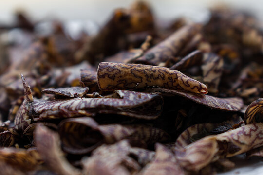 Close up shot of arecanut chips with shallow depth of field.