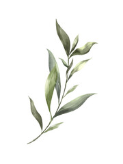 Dark leaf watercolor