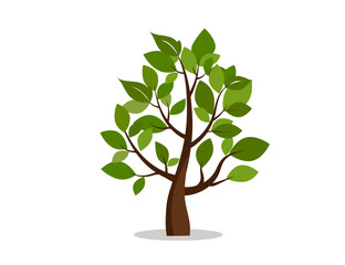Obraz premium Tree icon. Nature, park. Vector image.