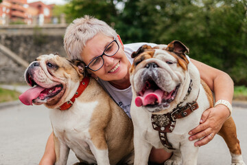 Smiling senior woman hugging with british bulldogs outdoors. Woman playing dog in park. Dog walking service