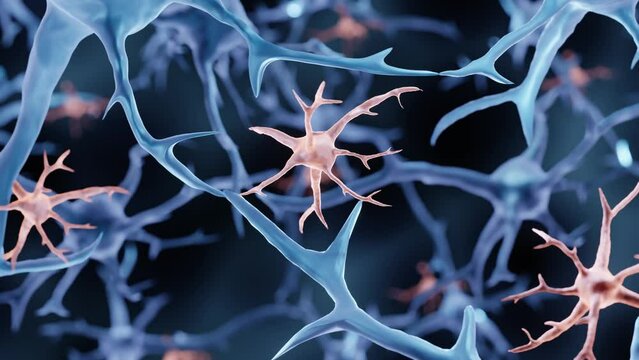 Glial cell, Microglia illustration