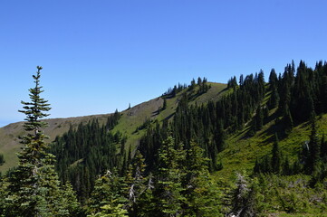 Landscape at Hurricane Ridge in Olympic National Park, Washington