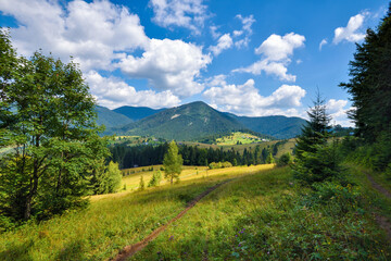 Beautiful mountain landscape with colorful herbs. Carpathian, Ukraine, Europe