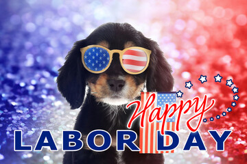 Happy Labor Day. Cute dog with sunglasses and American flag on shiny festive background