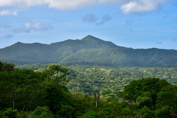 Fototapeta na wymiar Macuira National Park La Guajira Colombia