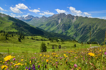 Scenic mountain landscape with alpine blooming meadows. Location place Alps, Europe.