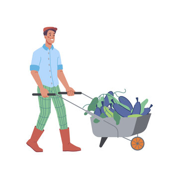 Harvesting And Farming, Isolated Man Personage Pushing Wheelbarrow Of Eggplants. Aubergine Farm, Agriculture Work. Flat Cartoon Character, Vector In Flat Style